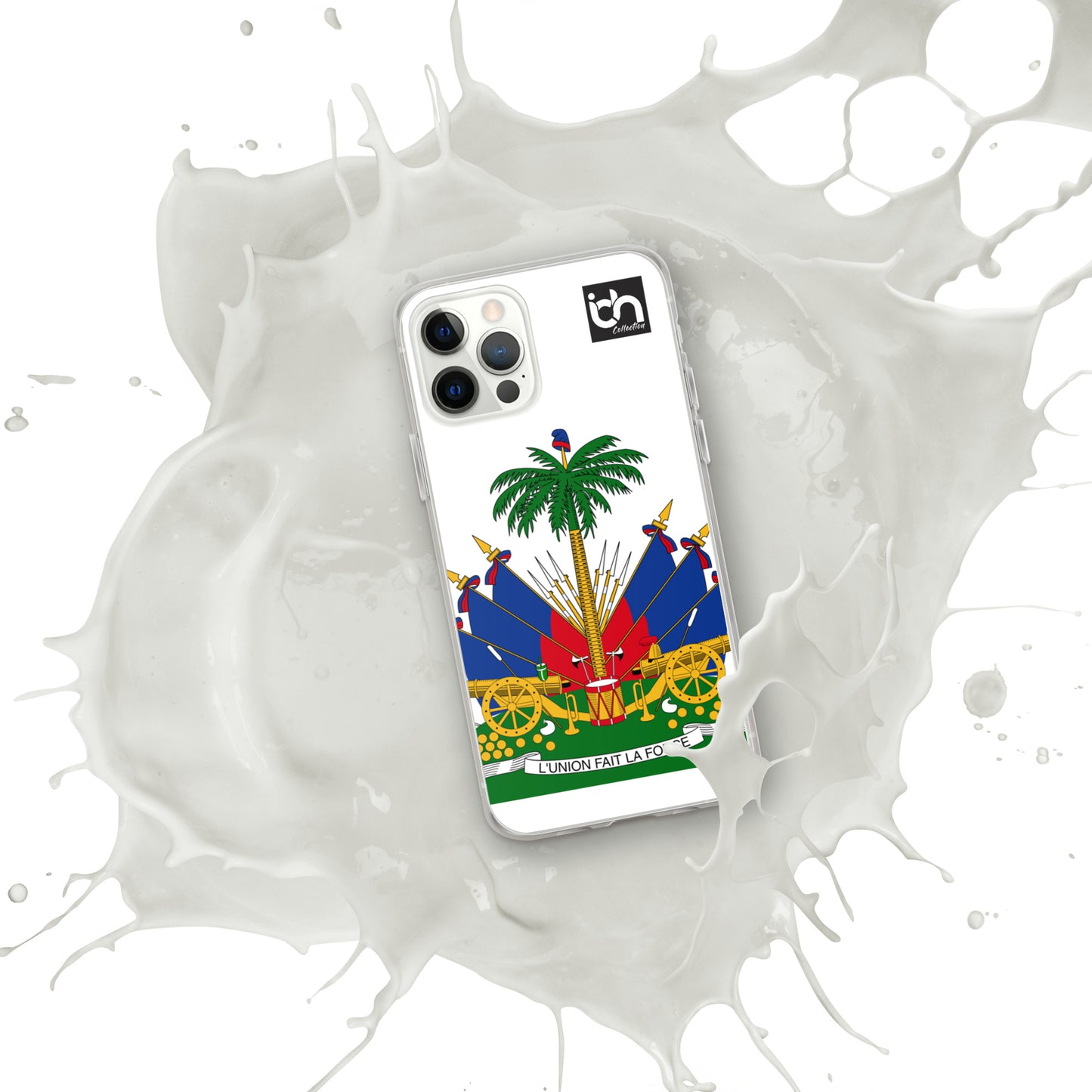 Haiti iPhone Case