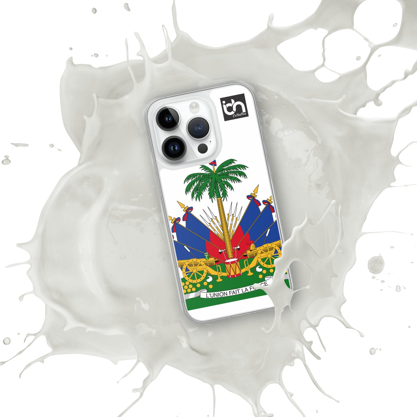 Haiti iPhone Case