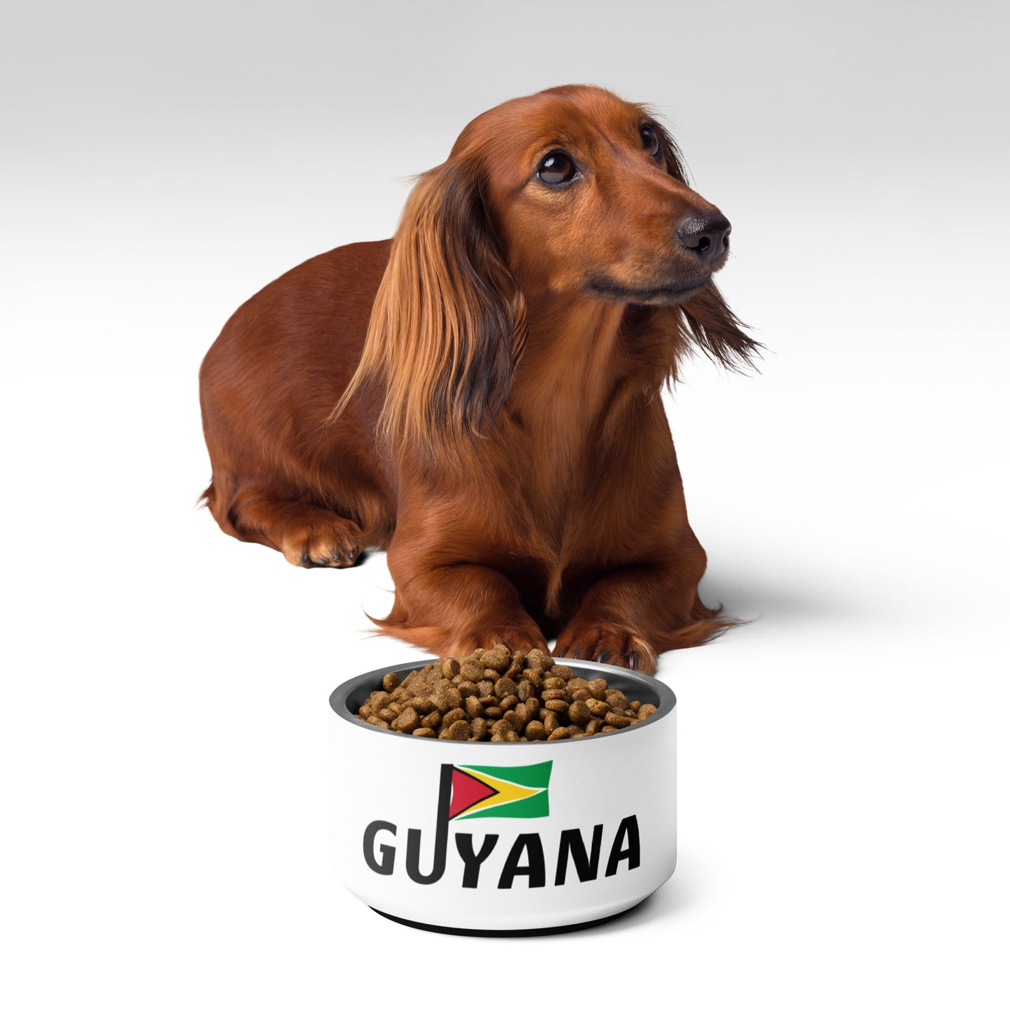 Guyana Pet bowl