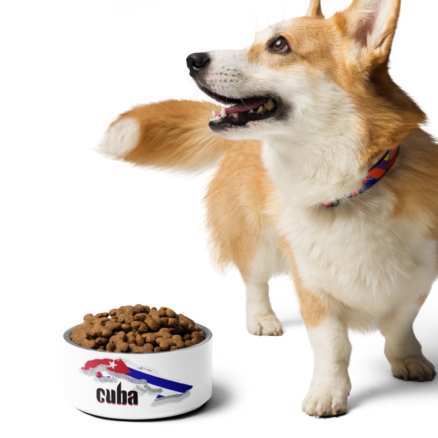 Cuba Pet bowl